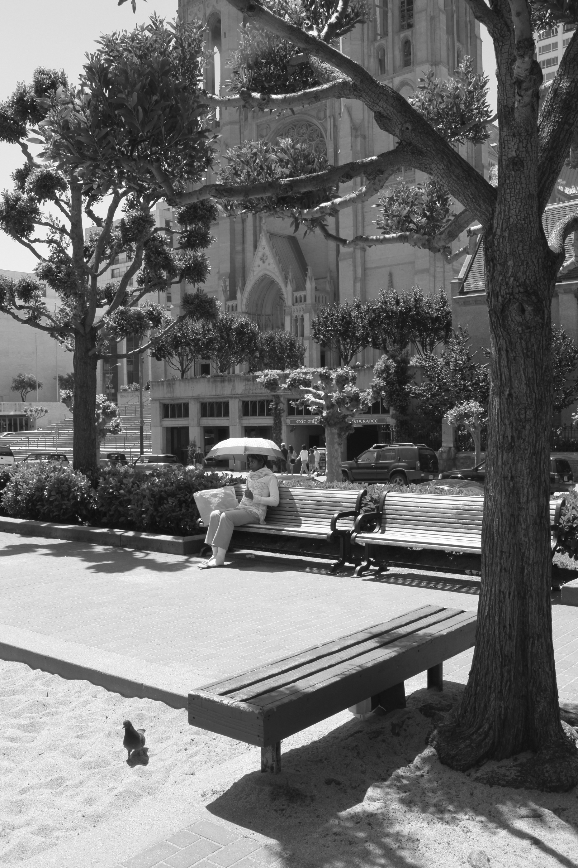 013-_MG_0537bw