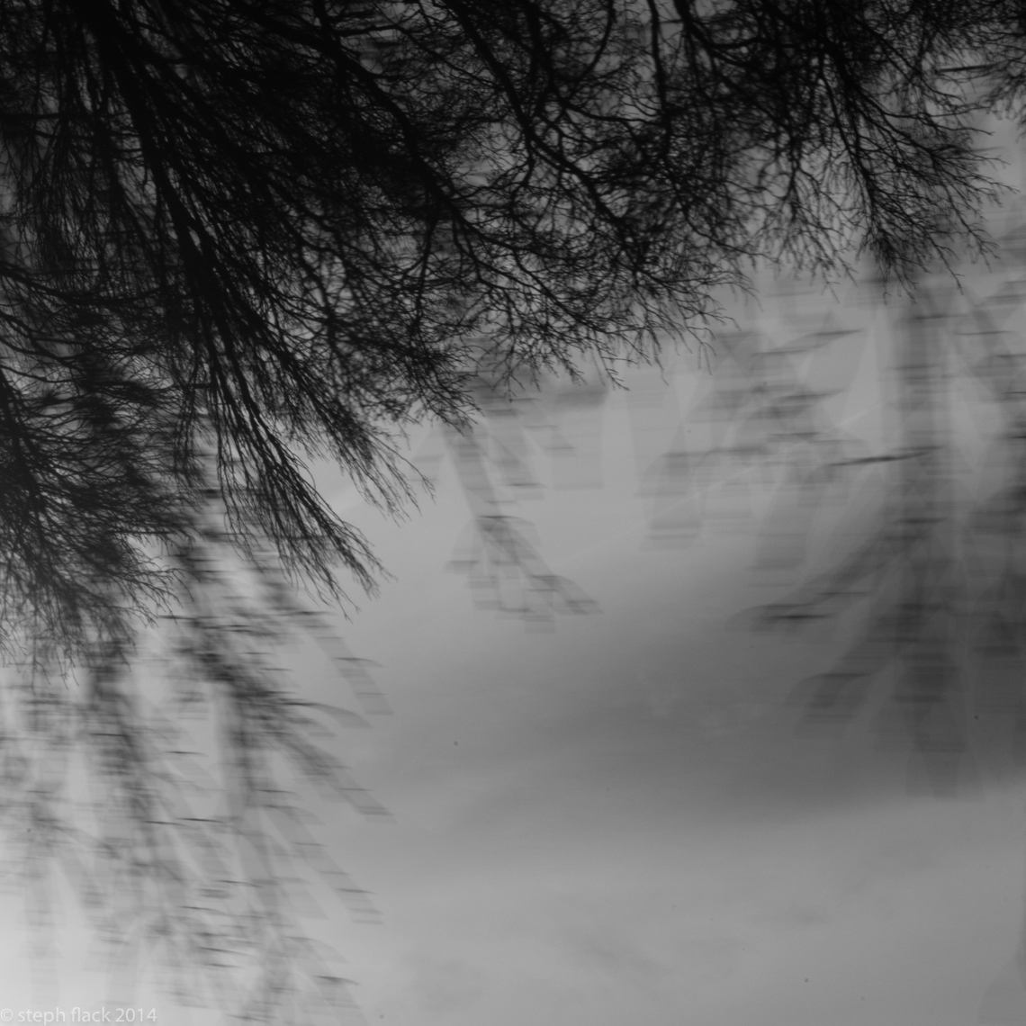 020-LND_20141211_2544