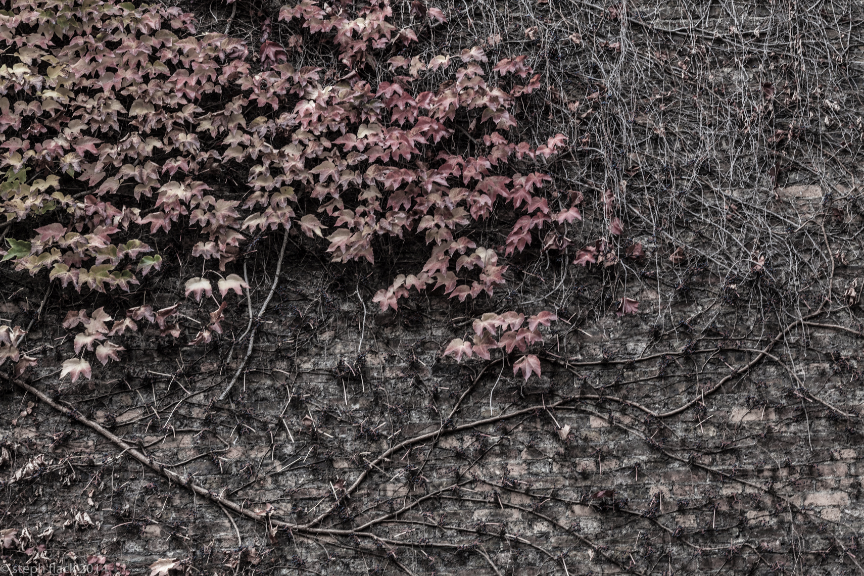 03-PRS_20141115_1187B