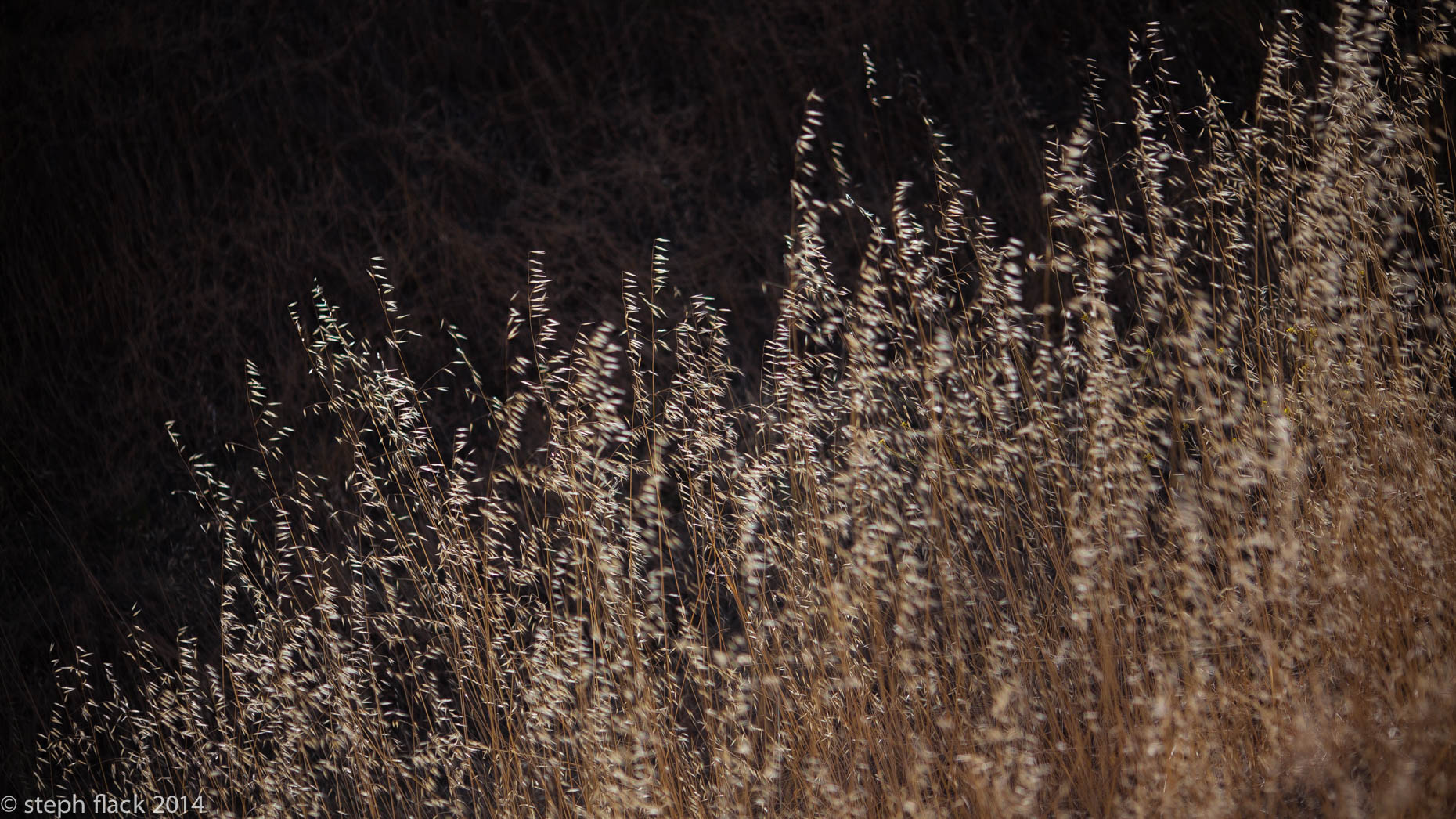 08-SKY_20140613_02398