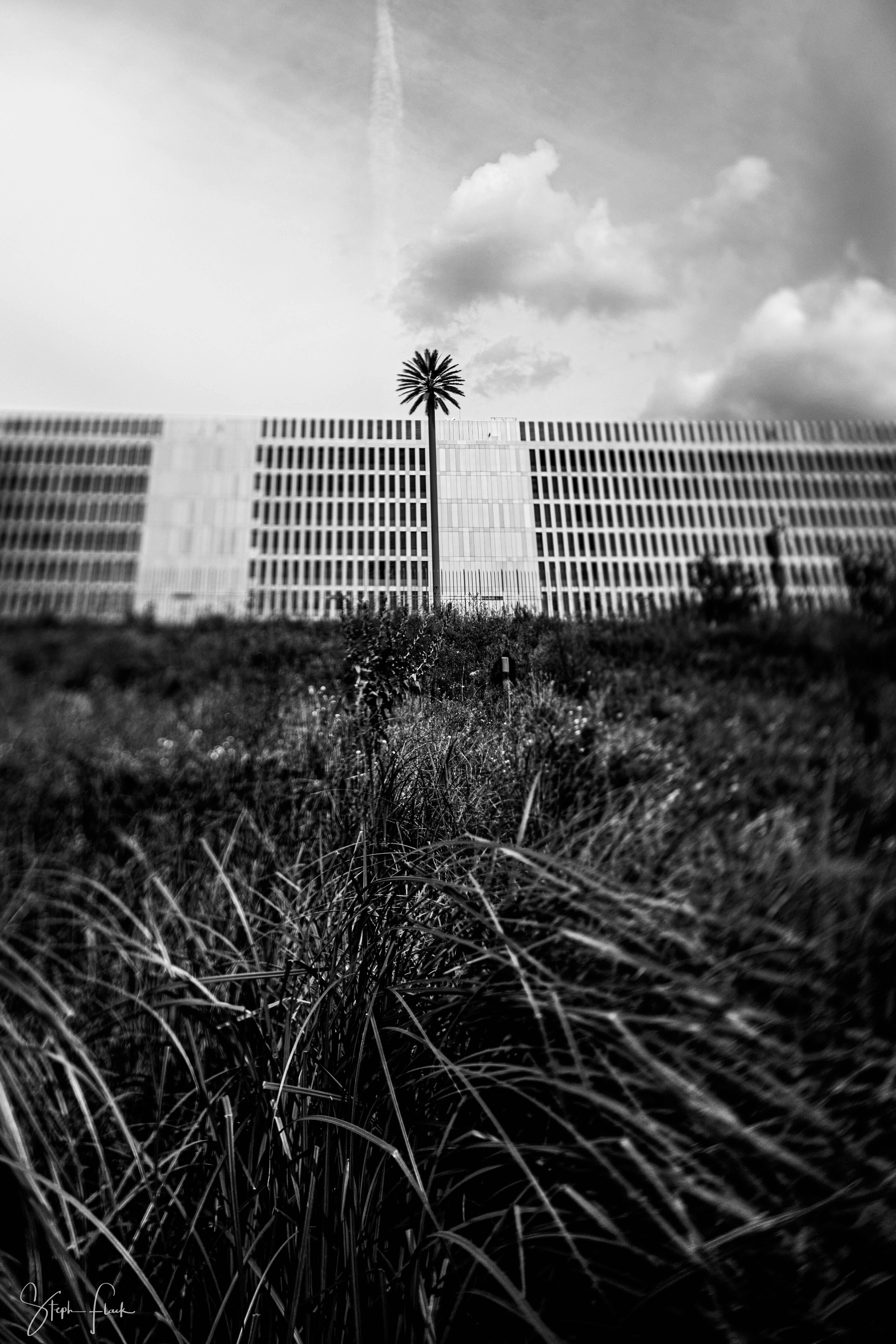 20210828_1509_BER_8911